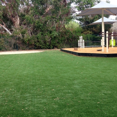 Synthetic Grass Calumet City Illinois Childcare Facilities