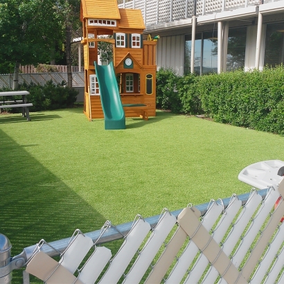 Synthetic Grass Crest Hill Illinois Playgrounds Front Yard