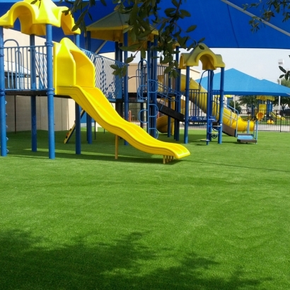 Synthetic Grass Glendale Heights Illinois Kids Care Back