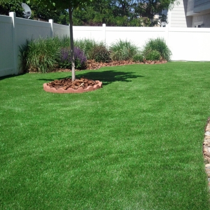 Synthetic Grass Hometown Illinois Landscape