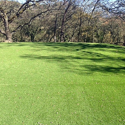 Synthetic Grass Monee Illinois Landscape