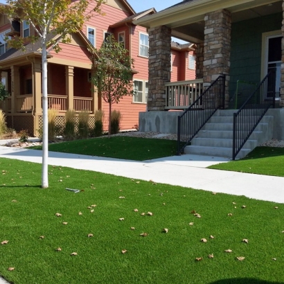Synthetic Grass North Riverside Illinois Landscape Front