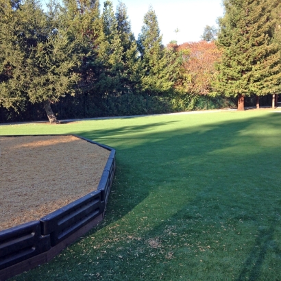 Synthetic Grass Schaumburg Illinois Kindergarten Swimming