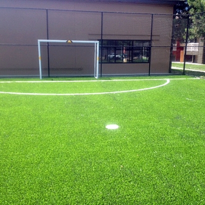 Synthetic Grass Stadium Park Forest Illinois Swimming Pools