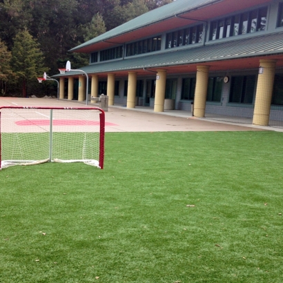 Synthetic Grass Stadium Westmont Illinois Back Yard