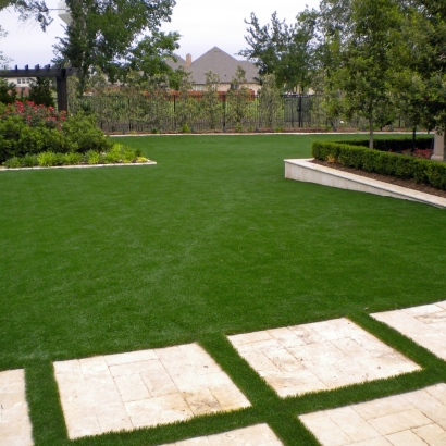 Synthetic Grass Summit Illinois Lawn Back Yard