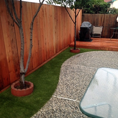 Synthetic Pet Grass Monee Illinois Installation Back Yard