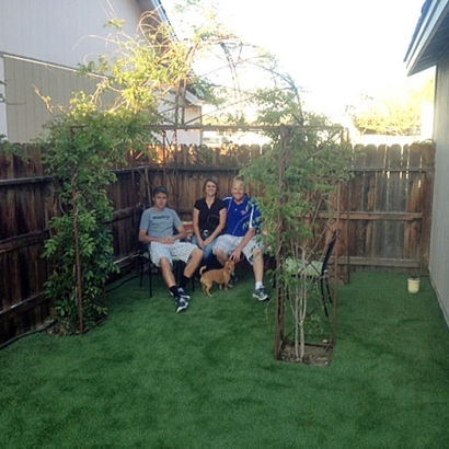 Synthetic Pet Turf Frankfort Square Illinois Installation