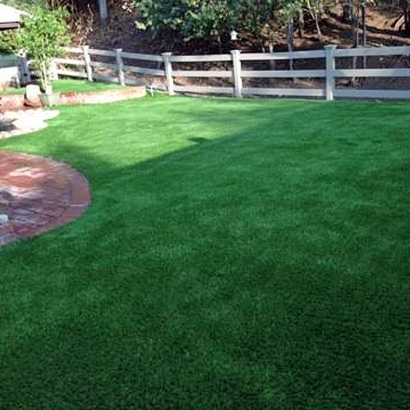Synthetic Pet Turf Hoffman Estates Illinois for Dogs Back