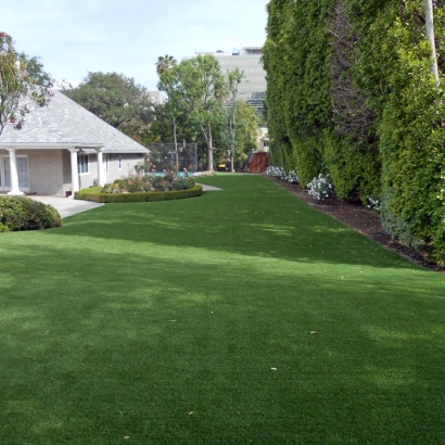 Synthetic Pet Turf Kenilworth Illinois for Dogs Back Yard