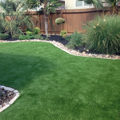 Synthetic Pets Areas Harvey Illinois for Dogs Back Yard