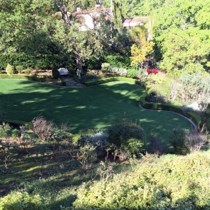 Synthetic Turf Forest Lake Illinois Lawn