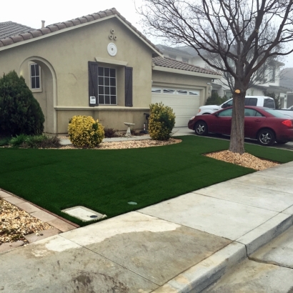 Synthetic Turf Lake Bluff Illinois Lawn