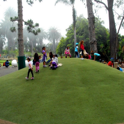 Synthetic Turf Sauk Village Illinois School Front Yard