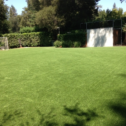 Synthetic Turf Sports Glen Ellyn Illinois