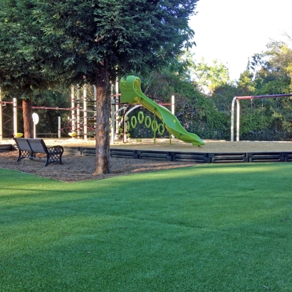 Synthetic Turf Western Springs Illinois Playgrounds Commercial