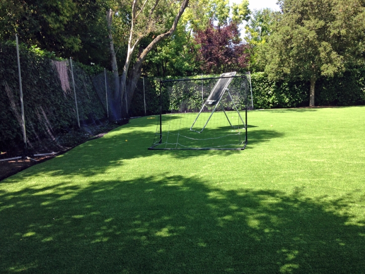 Artificial Grass Sports Wilmette Illinois Back Yard