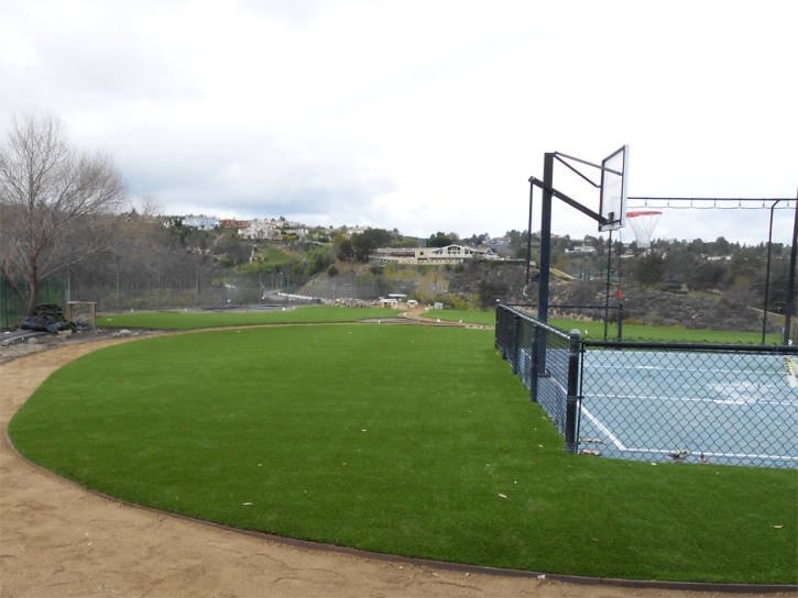 Artificial Grass Stadium Riverside Illinois