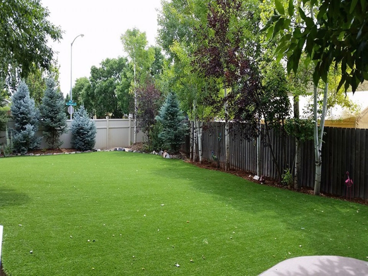Artificial Pet Turf Fairmont Illinois for Dogs Back Yard