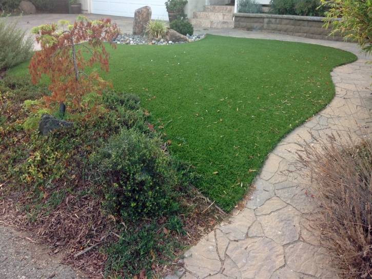 Artificial Pet Turf Steger Illinois for Dogs Commercial