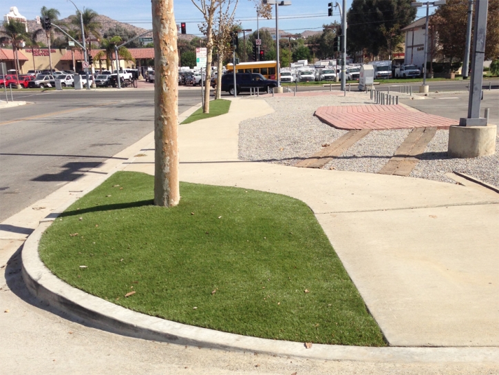 Artificial Turf Arlington Heights Illinois Landscape Front