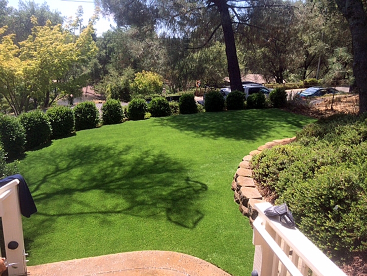 Artificial Turf Bolingbrook Illinois Landscape Pools Back