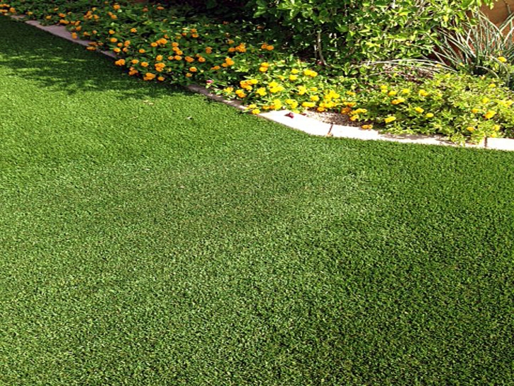 Artificial Turf Bolingbrook Illinois Lawn