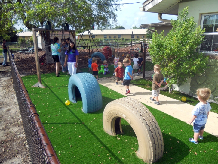 Artificial Turf Burr Ridge Illinois Playgrounds Front Yard