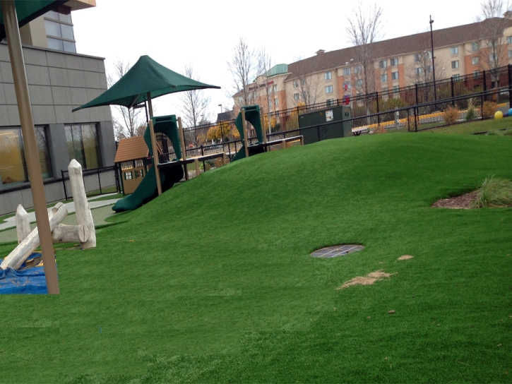 Artificial Turf Ford Heights Illinois Childcare Facilities