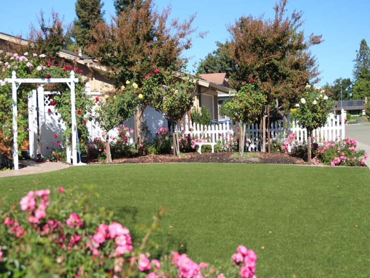 Artificial Turf Olympia Fields Illinois Landscape Back
