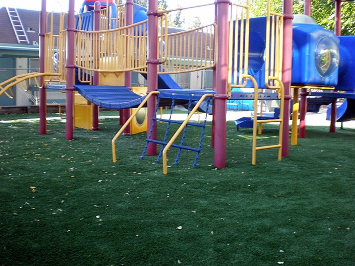 Artificial Turf Palatine Illinois Kids Care Back Yard