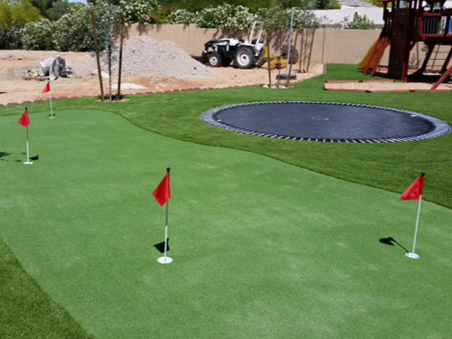 Artificial Turf Sleepy Hollow, Illinois Home Putting Green, Backyards