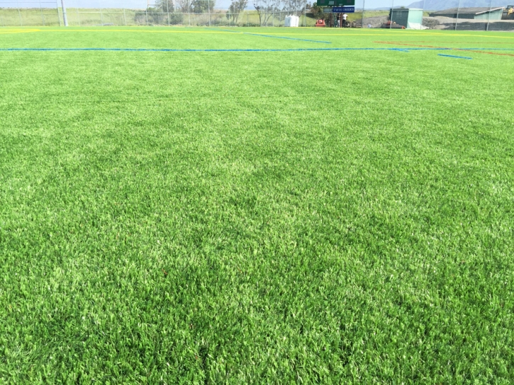 Artificial Turf Sports Fields Indian Creek Illinois