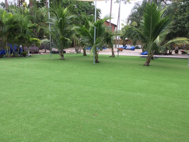 Best Artificial Grass Carpentersville, Illinois Landscape Photos, Commercial Landscape