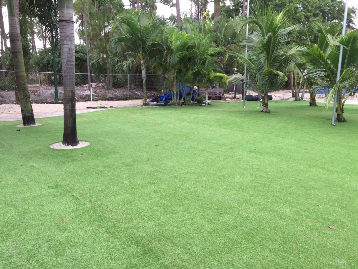 Best Artificial Grass North Aurora, Illinois Lawn And Garden, Commercial Landscape