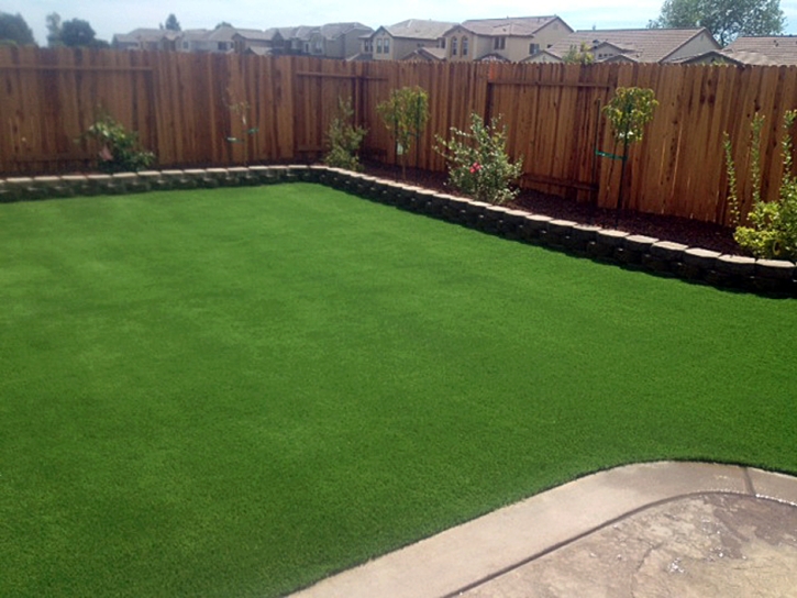 Fake Grass Bolingbrook Illinois Landscape Fountans Back