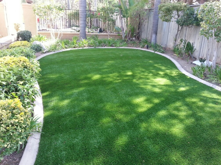 Fake Grass Carpet Crystal Lawns, Illinois Landscape Design