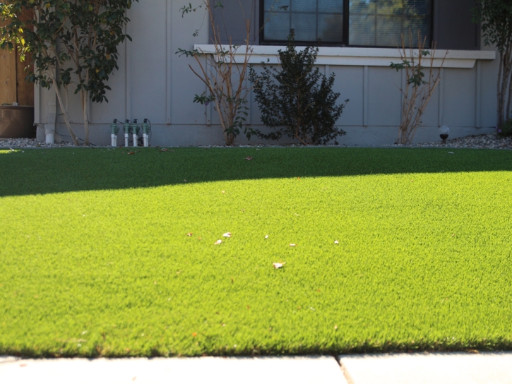 Fake Grass Forest Lake Illinois Lawn