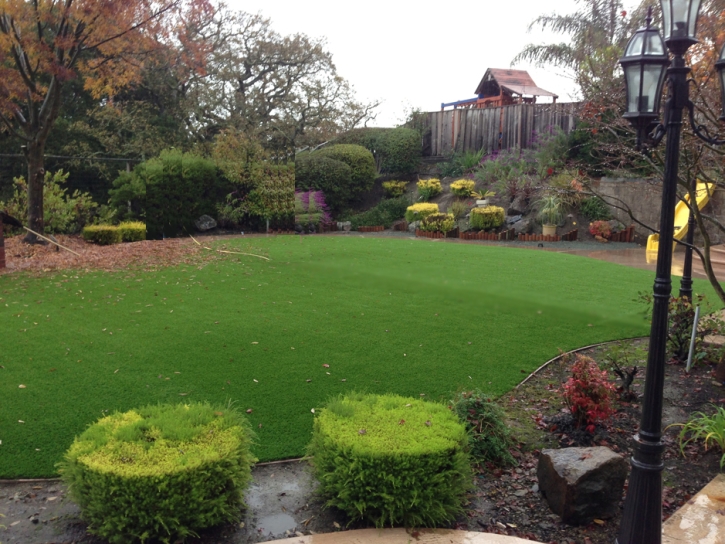 Fake Grass Olympia Fields Illinois Lawn Front Yard