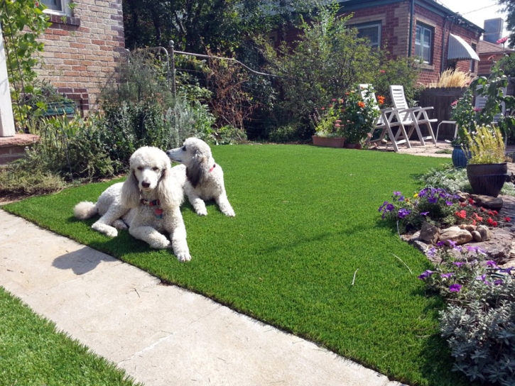 Fake Pet Turf Lisle Illinois for Dogs Front Yard