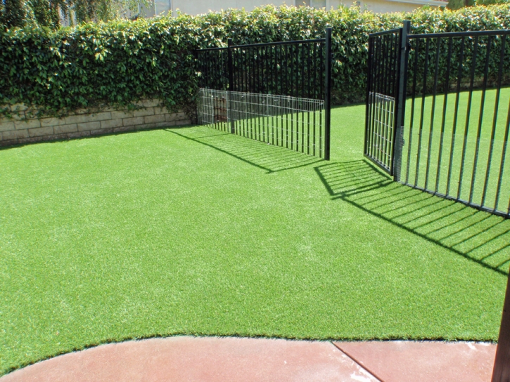 Fake Pet Turf Streamwood Illinois Installation