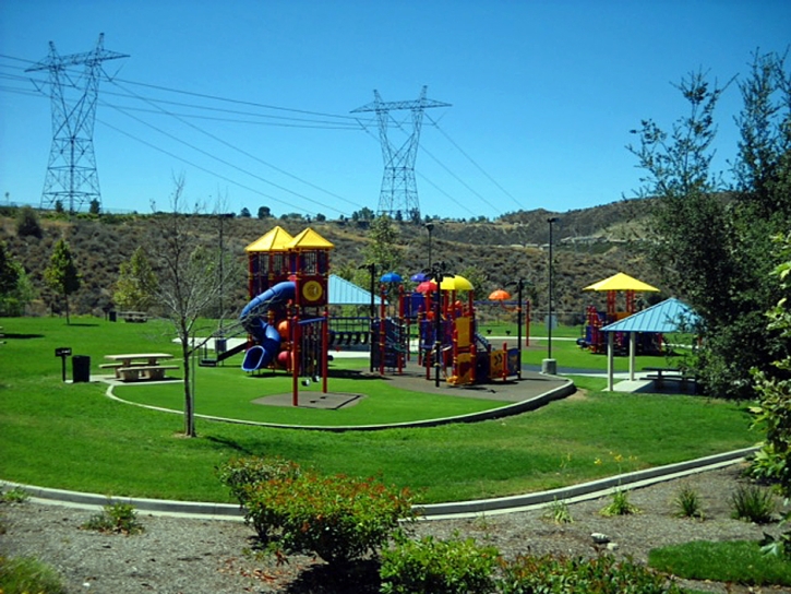 Fake Turf Gary Indiana Playgrounds Dogs Runs Back Yard