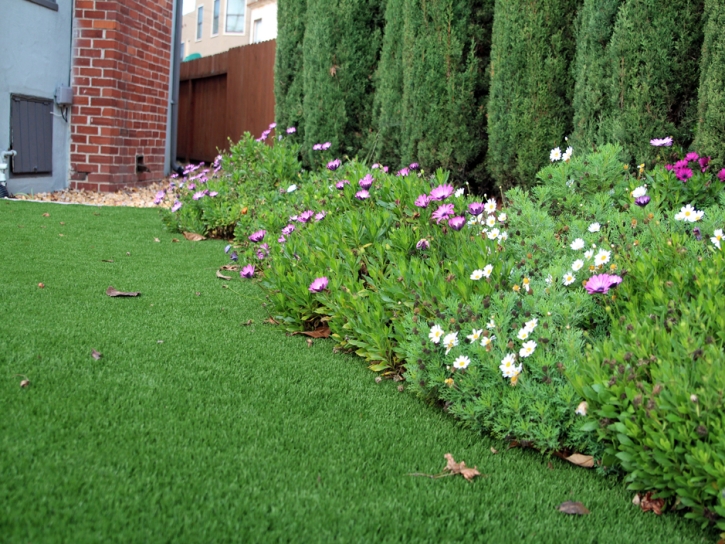 Fake Turf New Lenox Illinois Lawn Parks