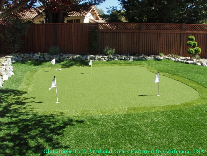 Golf Putting Greens Berwyn Illinois Artificial Turf