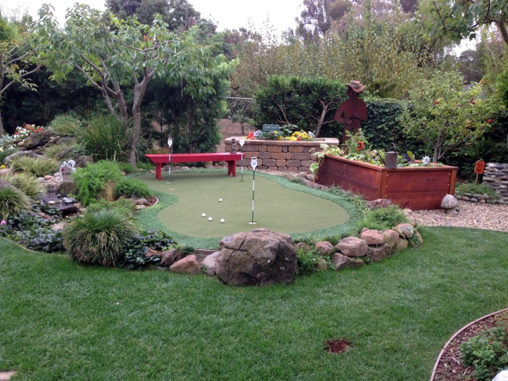 Golf Putting Greens Bloomingdale Illinois Synthetic Grass