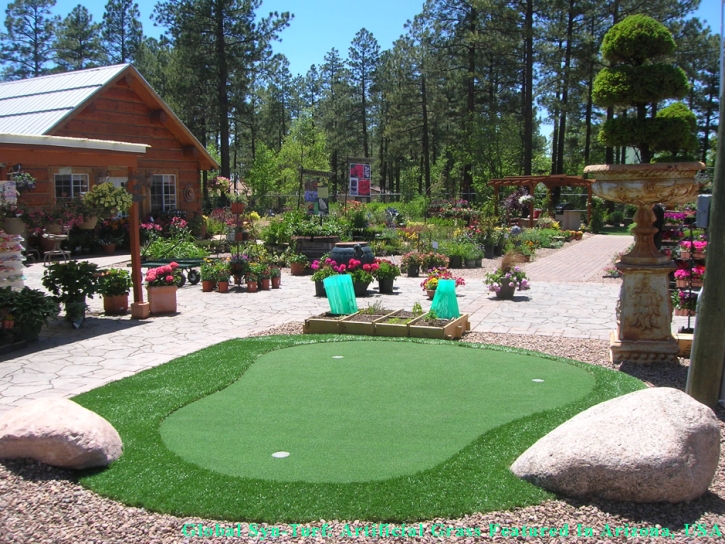 Golf Putting Greens Cicero Illinois Synthetic Grass