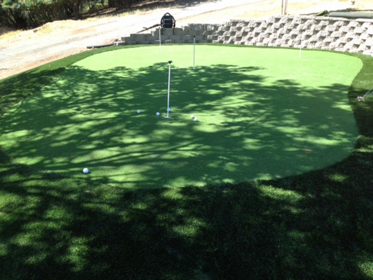 Golf Putting Greens Evergreen Park Illinois Synthetic Grass