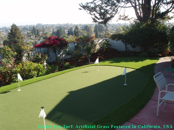 Golf Putting Greens Forest View Illinois Fake Grass