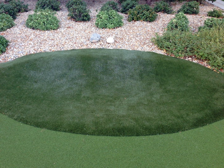 Golf Putting Greens Lisle Illinois Artificial Grass