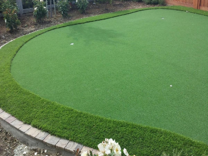 Golf Putting Greens Saint John Indiana Fake Turf Back Yard